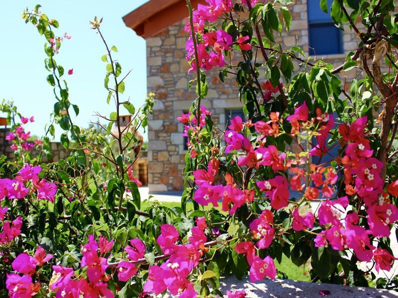 Estrella Villas Lartos Exterior photo
